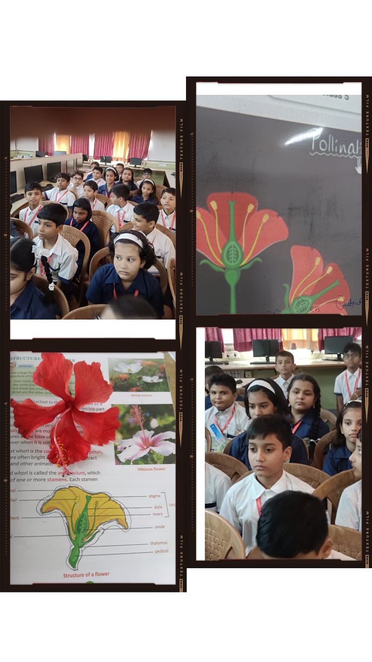 Annual Day 1